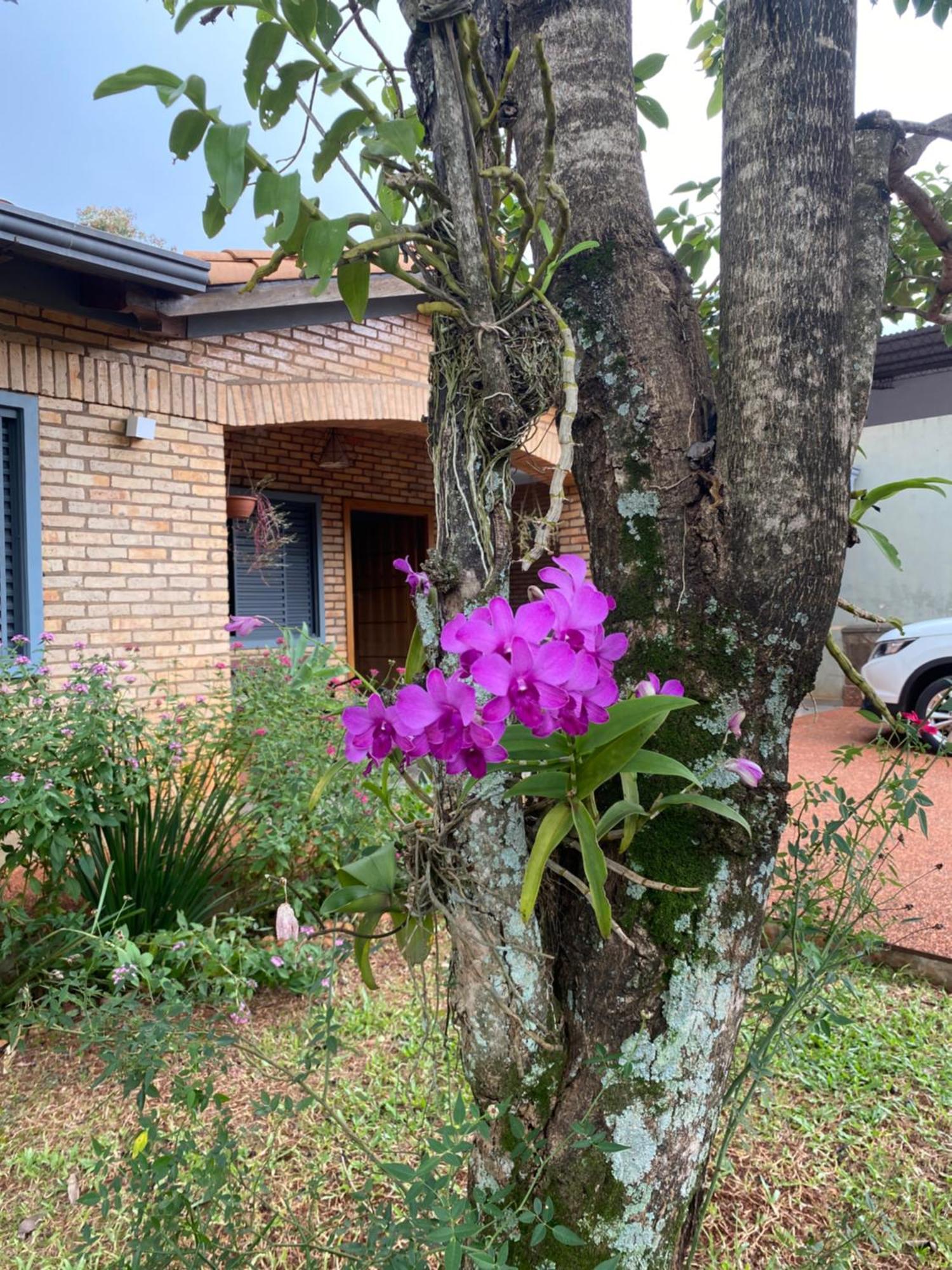 Moderna Y Unica Casa Independiente Con Jardin Y Estacionamiento Ciudad del Este Esterno foto